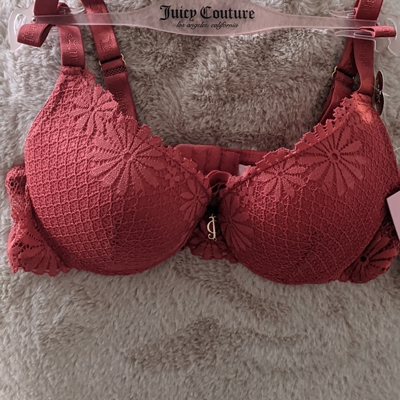 Juicy Couture Sexy Lace Push Up Bra 34B - Picture 8 of 15